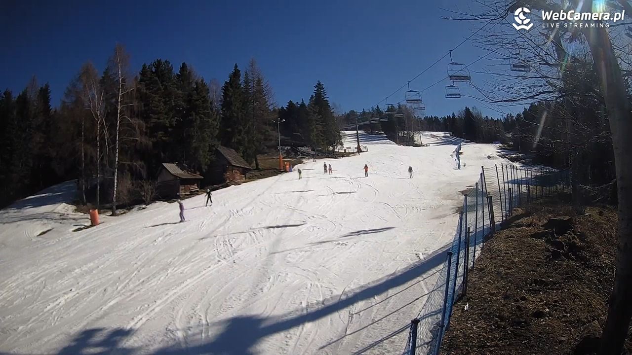 Stacja Narciarska Wierchomla - Szałas - 03 marzec 2026, 12:49