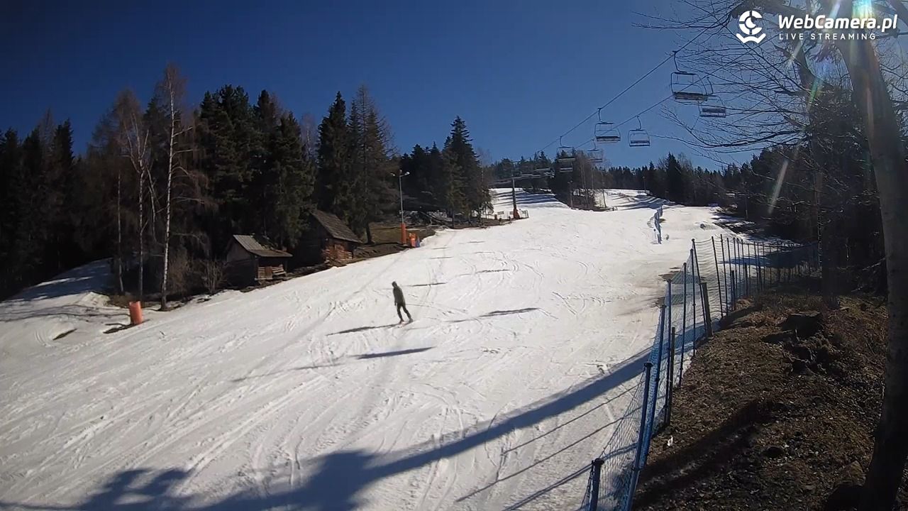 Stacja Narciarska Wierchomla - Szałas - 03 marzec 2026, 12:51