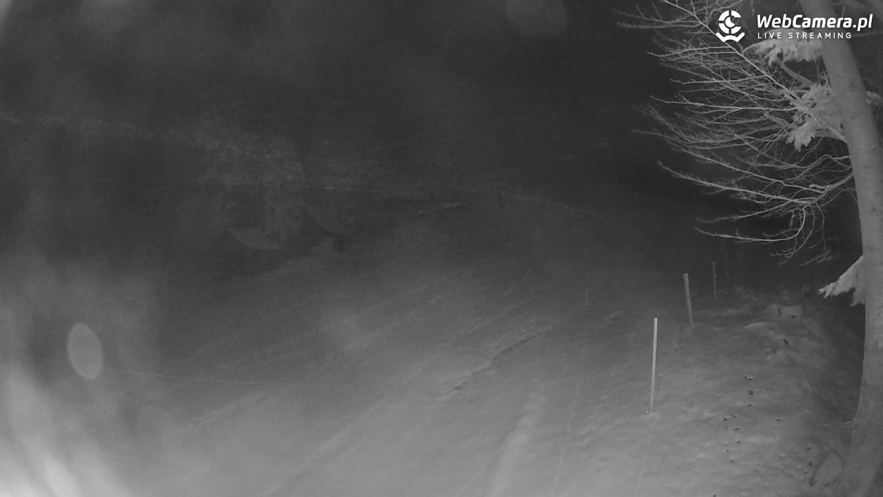 Stacja Narciarska Wierchomla - Szałas - 27 marzec 2026, 22:11
