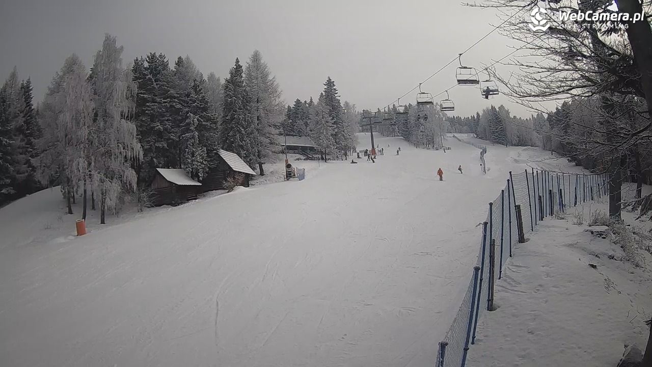 Stacja Narciarska Wierchomla - Szałas - 01 luty 2026, 12:03