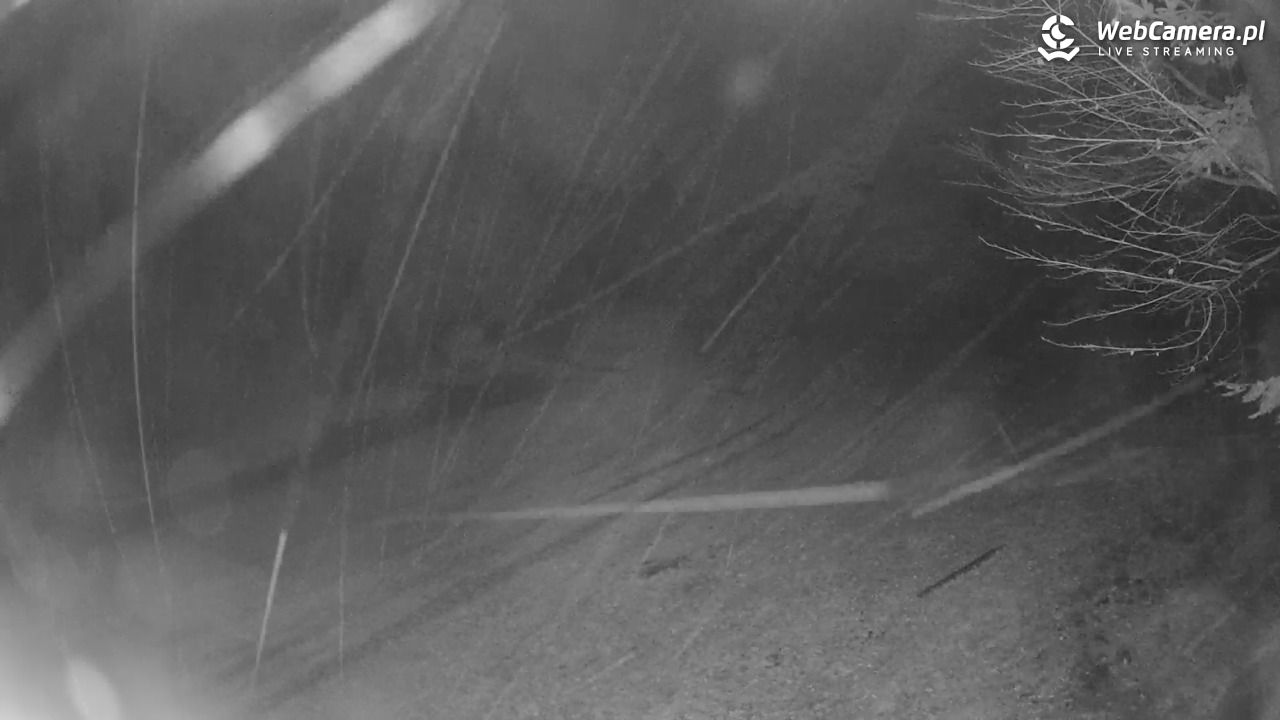 Stacja Narciarska Wierchomla - Szałas - 03 listopad 2025, 22:05