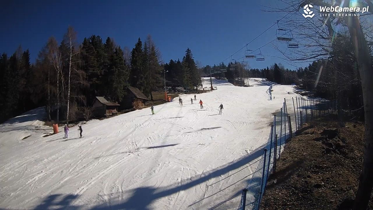 Stacja Narciarska Wierchomla - Szałas - 03 marzec 2026, 12:49