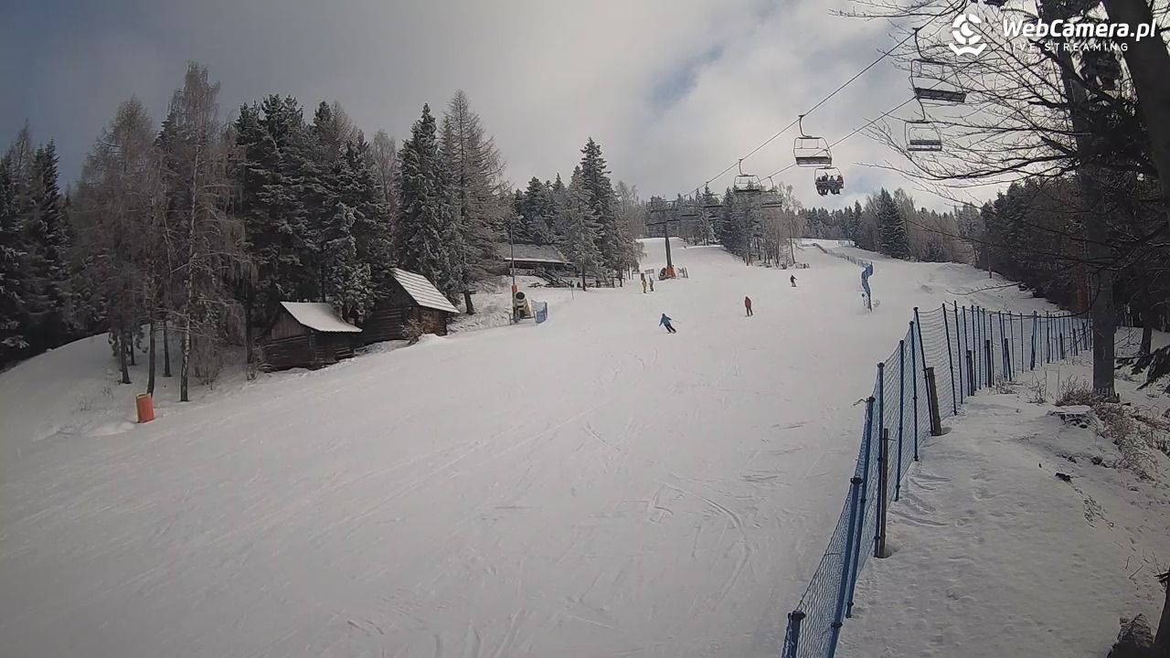 Stacja Narciarska Wierchomla - Szałas - 31 styczeń 2026, 14:01