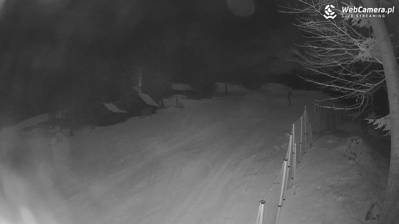 Stacja Narciarska Wierchomla - Szałas - 25 luty 2026, 19:54