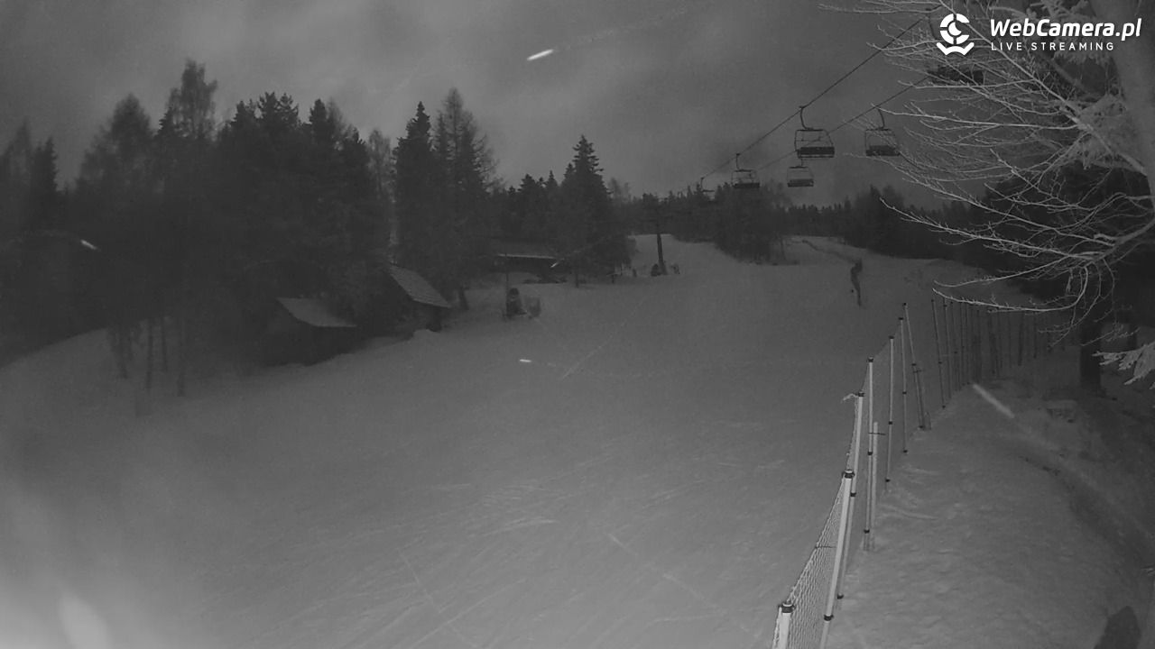 Stacja Narciarska Wierchomla - Szałas - 31 styczeń 2026, 19:44