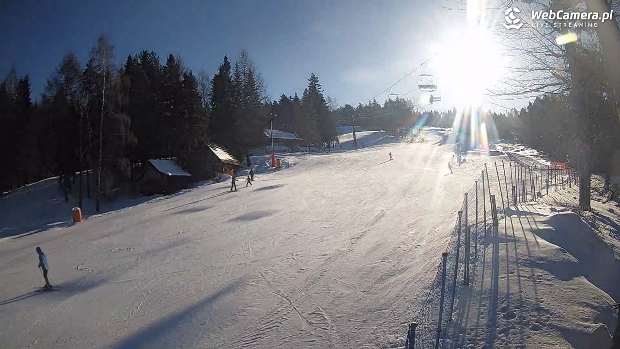 Stacja Narciarska Wierchomla - Szałas - 19 styczeń 2026, 10:23