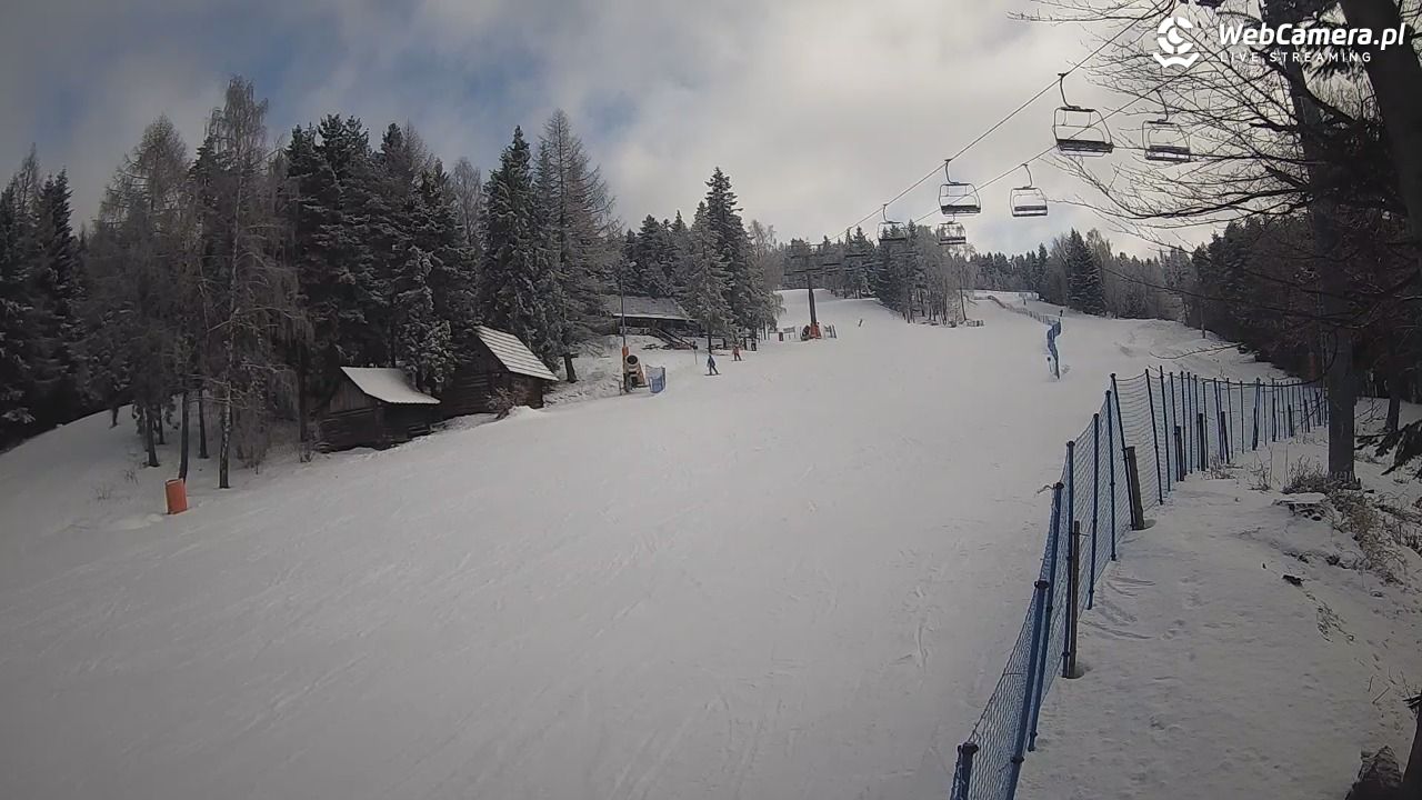Stacja Narciarska Wierchomla - Szałas - 31 styczeń 2026, 13:37