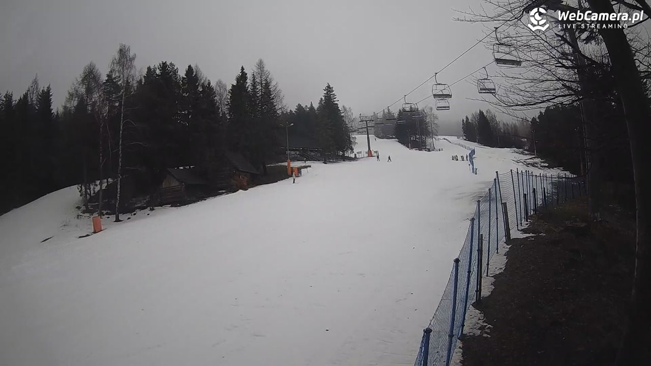 Stacja Narciarska Wierchomla - Szałas - 24 luty 2026, 11:10