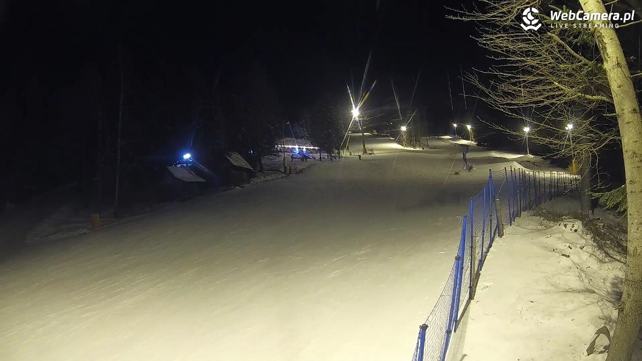 Stacja Narciarska Wierchomla - Szałas - 20 luty 2026, 18:14