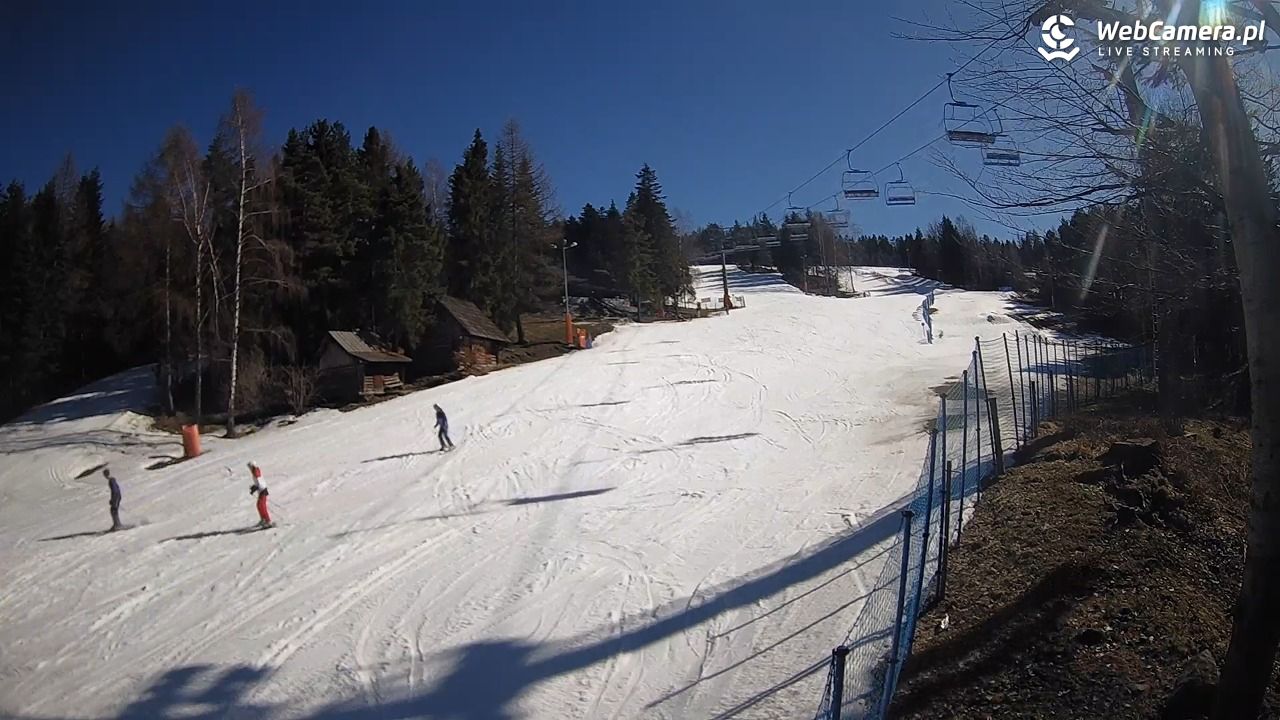 Stacja Narciarska Wierchomla - Szałas - 03 marzec 2026, 12:49