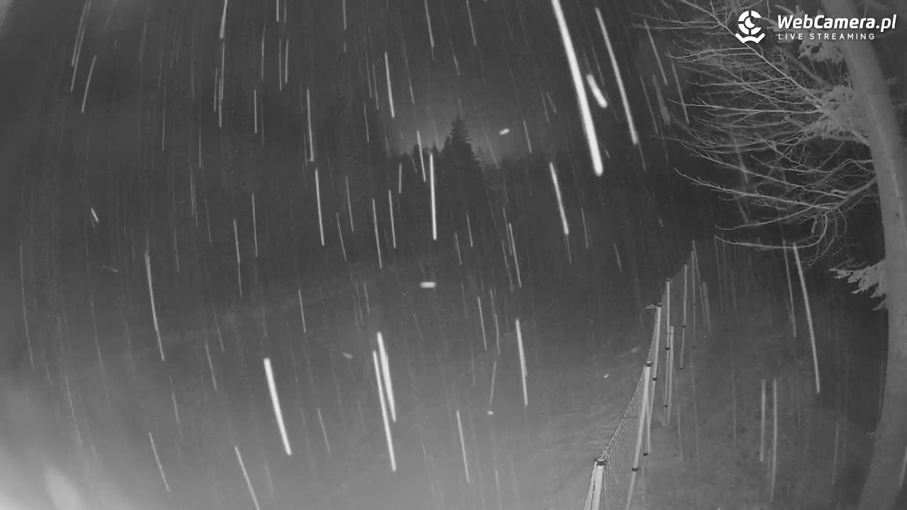 Stacja Narciarska Wierchomla - Szałas - 14 luty 2026, 23:15