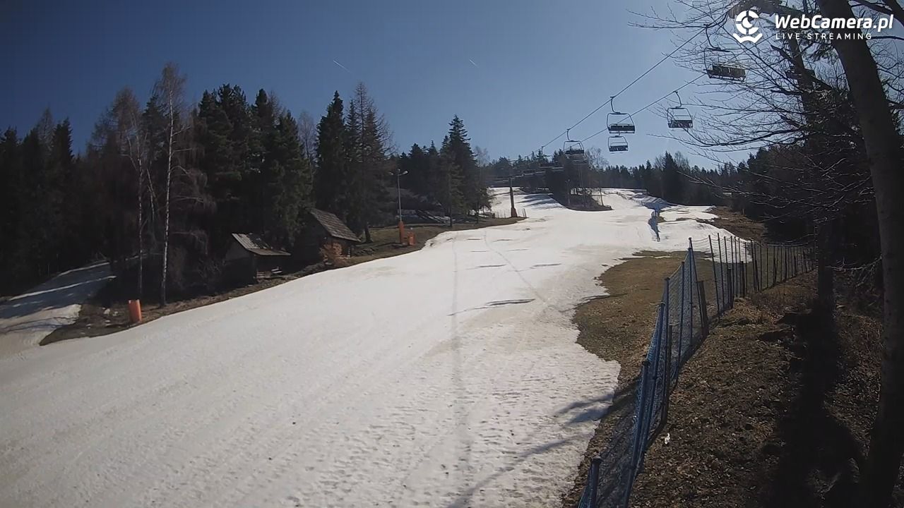 Stacja Narciarska Wierchomla - Szałas - 14 marzec 2026, 11:44