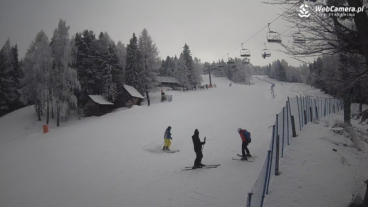 Stacja Narciarska Wierchomla - Szałas - 01 luty 2026, 11:25