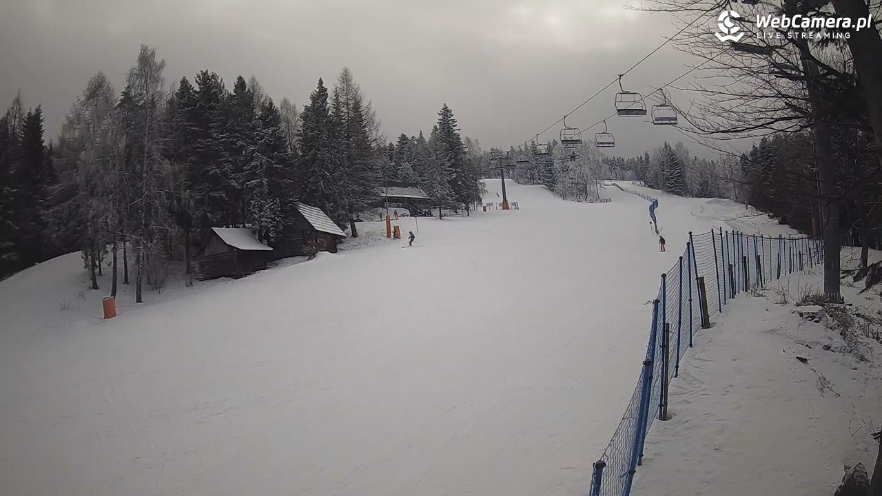 Stacja Narciarska Wierchomla - Szałas - 03 luty 2026, 10:29