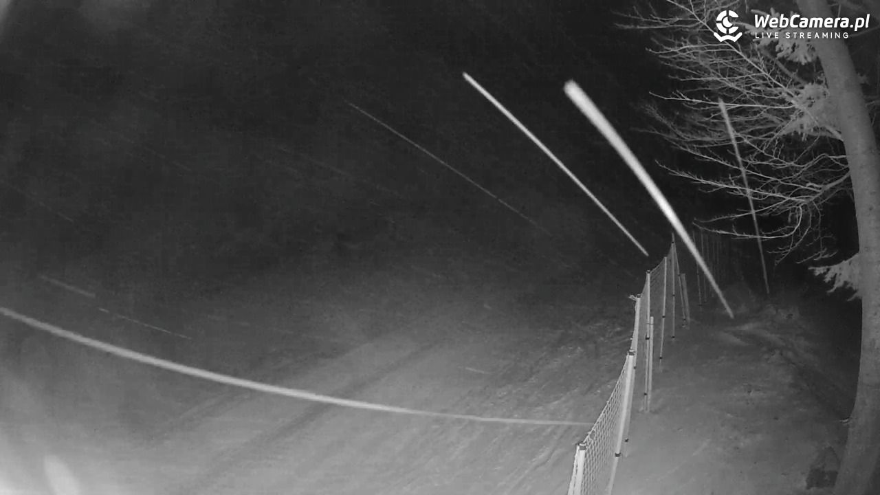 Stacja Narciarska Wierchomla - Szałas - 15 luty 2026, 21:20