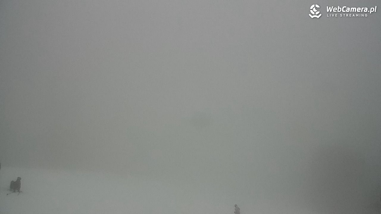 Zawoja - Mosorny Groń - 08 luty 2026, 13:51