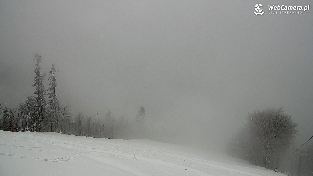 Zawoja - Mosorny Groń - 30 marzec 2026, 10:20