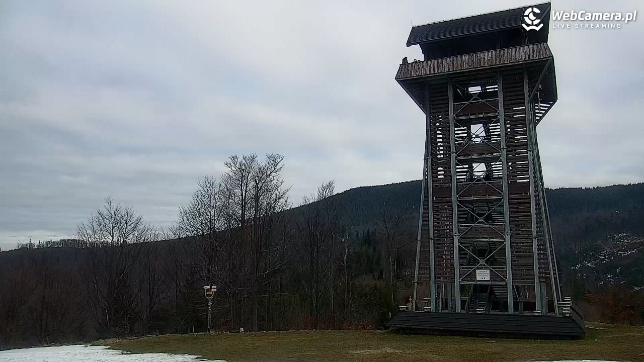 Zawoja - Mosorny Groń - 21 grudzień 2025, 14:19