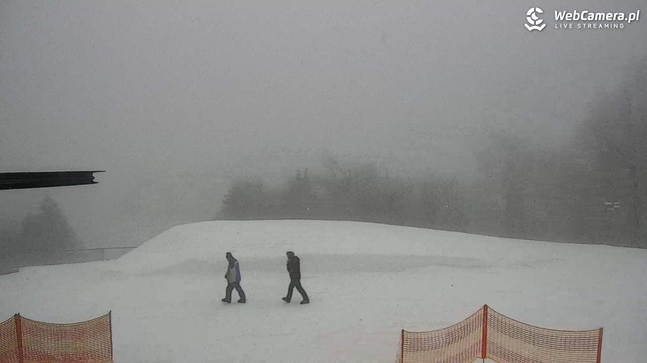 Zawoja - Mosorny Groń - 08 luty 2026, 11:24