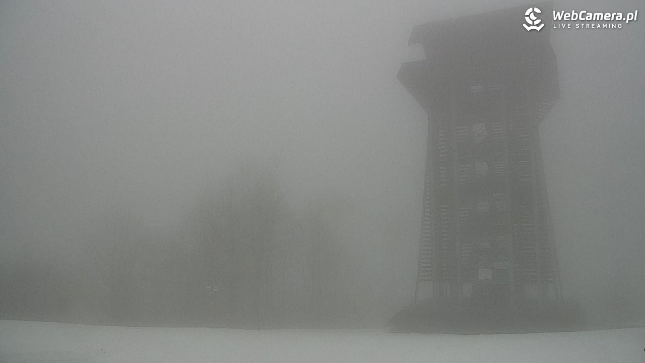 Zawoja - Mosorny Groń - 07 luty 2026, 15:12