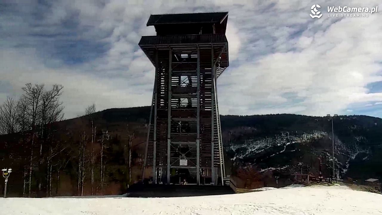 Zawoja - Mosorny Groń - 11 luty 2026, 11:24