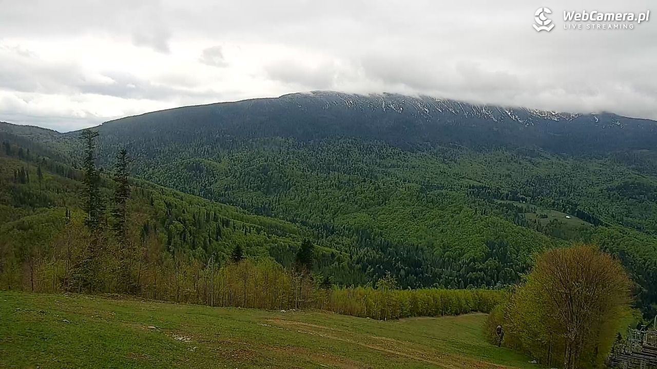 Zawoja - Mosorny Groń - 13 maj 2026, 09:08