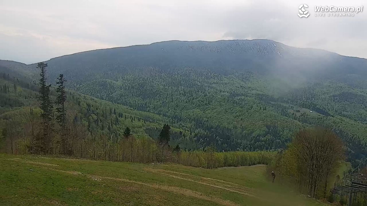 Zawoja - Mosorny Groń - 11 maj 2026, 11:28