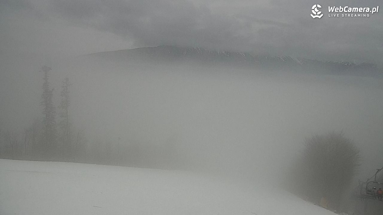 Zawoja - Mosorny Groń - 09 luty 2026, 14:53