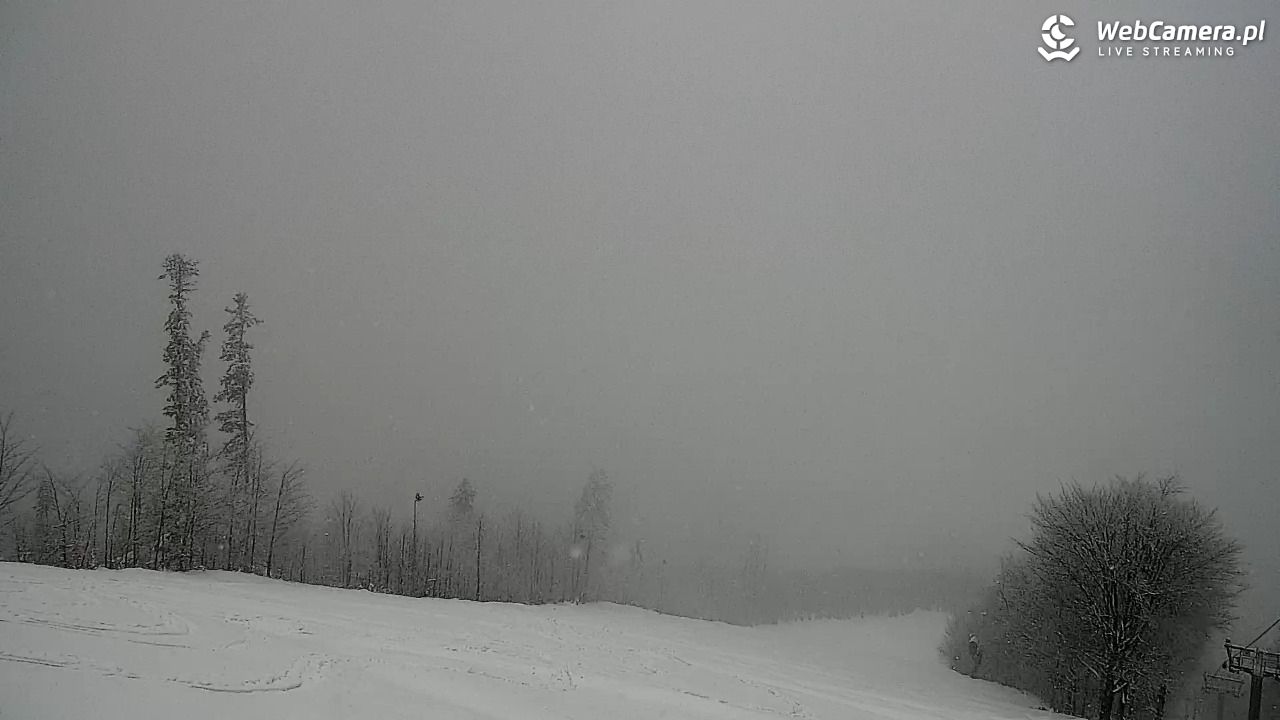 Zawoja - Mosorny Groń - 30 marzec 2026, 14:06