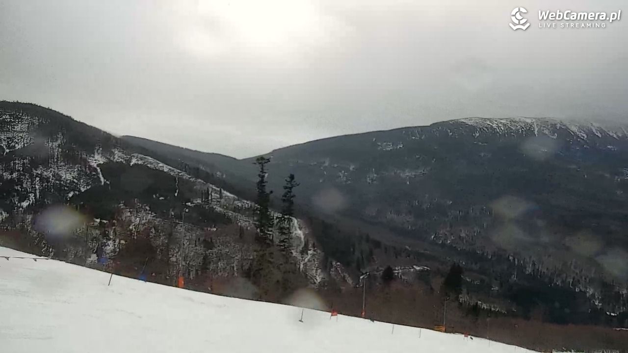 Zawoja - Mosorny Groń - 06 luty 2026, 10:35