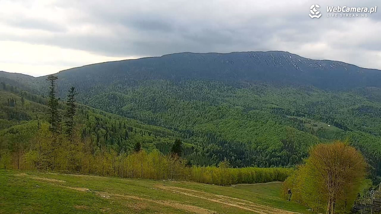 Zawoja - Mosorny Groń - 15 maj 2026, 07:33