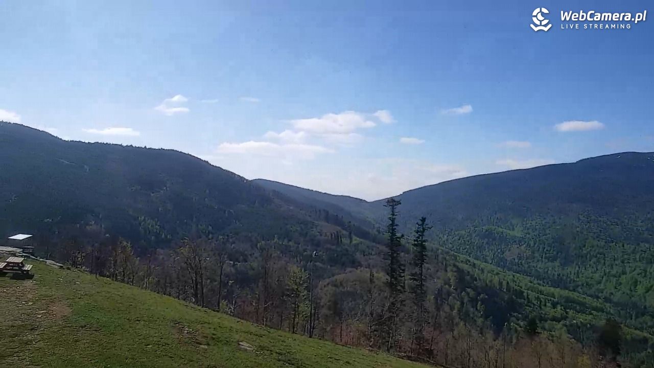 Zawoja - Mosorny Groń - 10 maj 2026, 09:25