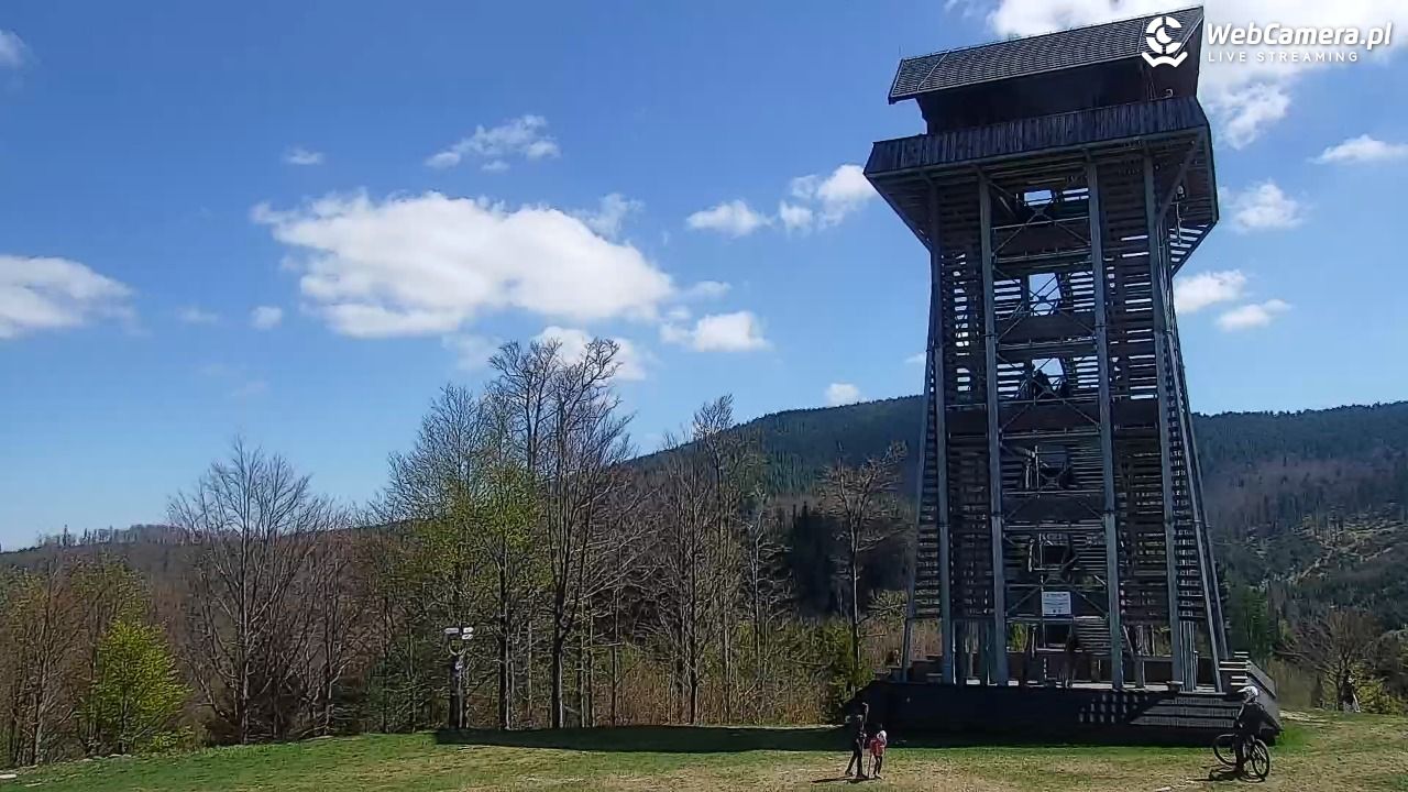 Zawoja - Mosorny Groń - 10 maj 2026, 11:31