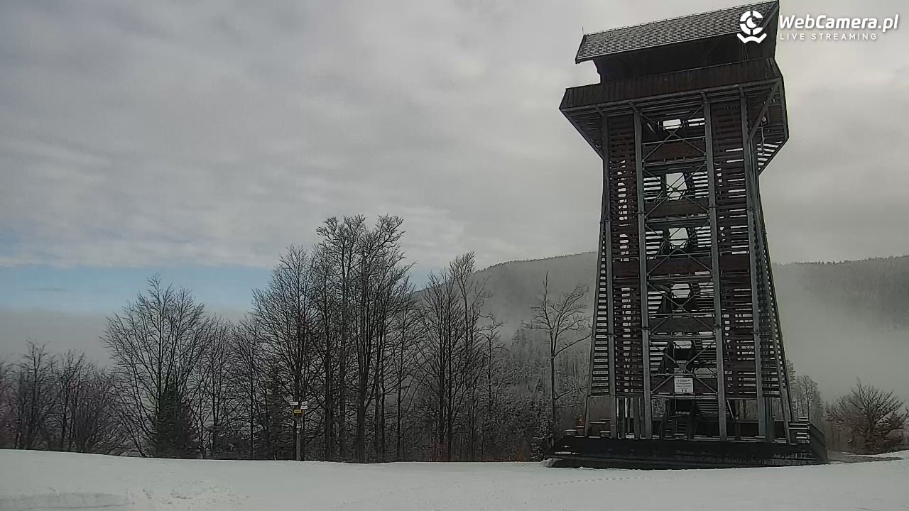 Zawoja - Mosorny Groń - 09 luty 2026, 10:11