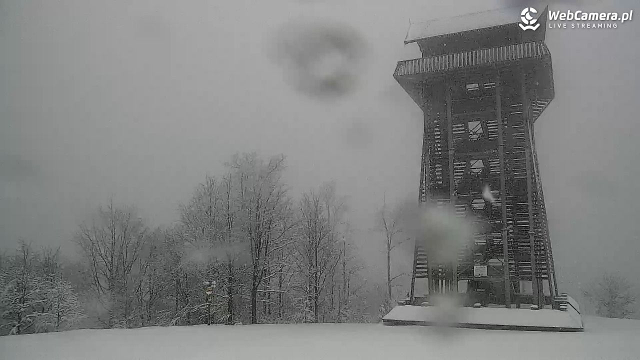 Zawoja - Mosorny Groń - 27 marzec 2026, 13:40