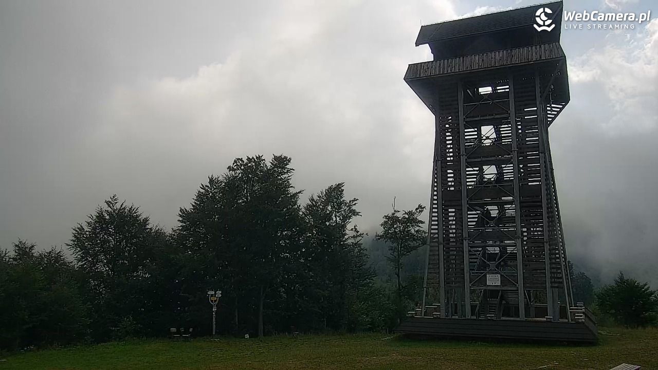 Zawoja - Mosorny Groń - 08 sierpień 2026, 09:33