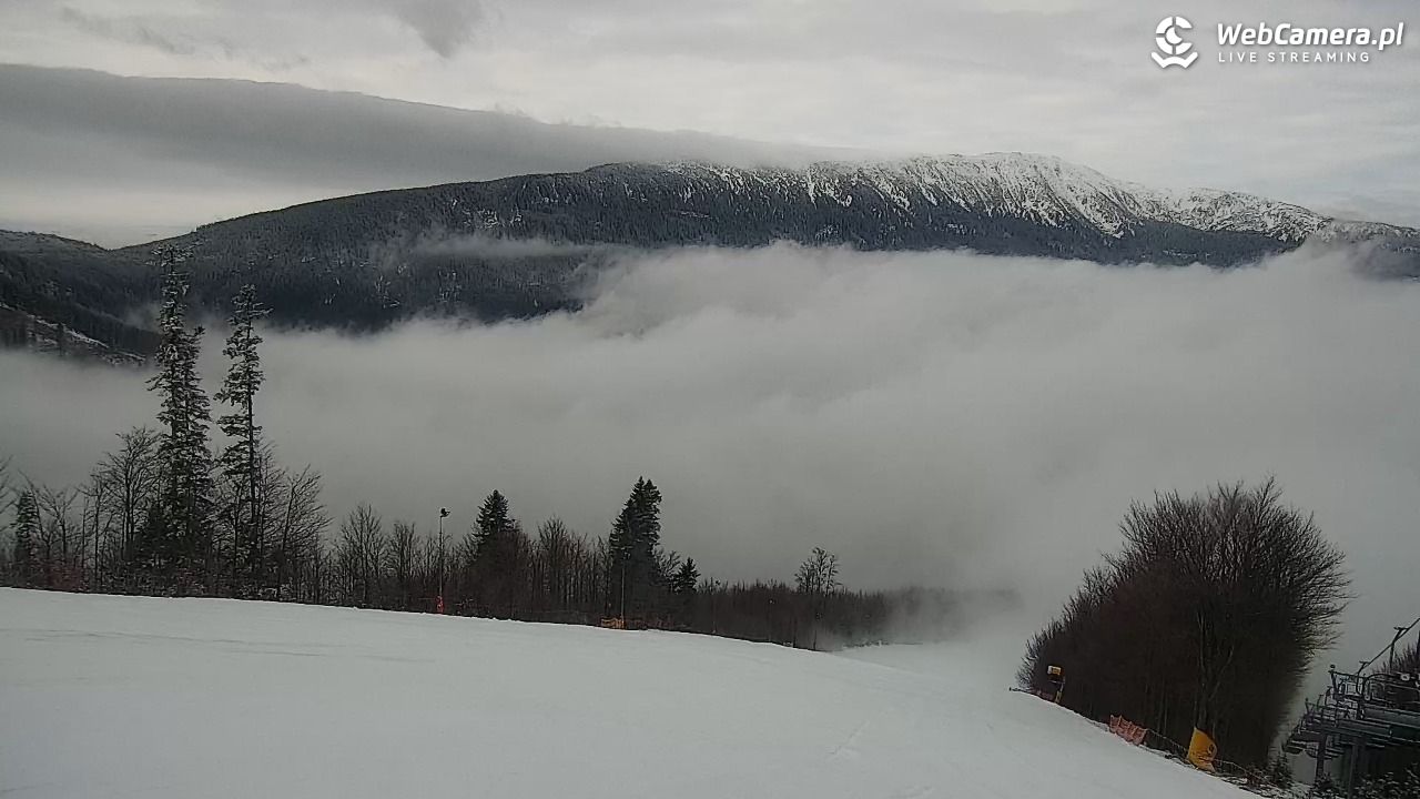 Zawoja - Mosorny Groń - 09 luty 2026, 07:55