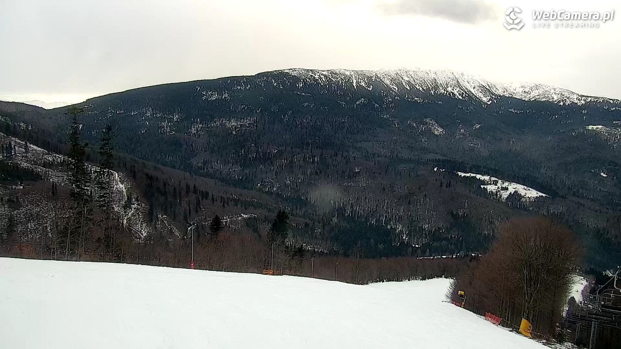 Zawoja - Mosorny Groń - 06 luty 2026, 16:02