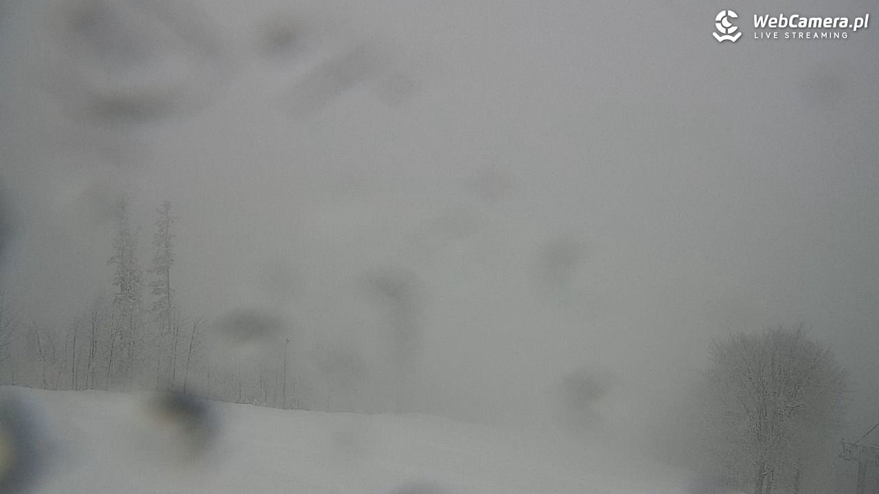 Zawoja - Mosorny Groń - 27 marzec 2026, 11:54