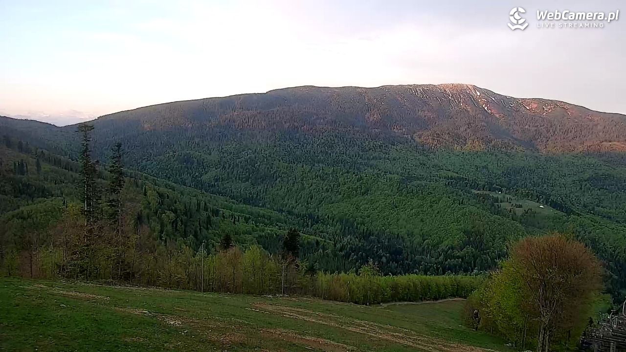 Zawoja - Mosorny Groń - 14 maj 2026, 05:20