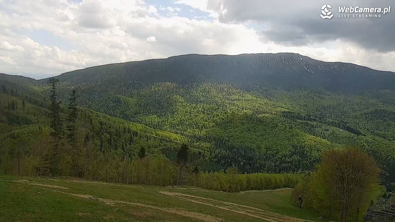 Zawoja - Mosorny Groń - 14 maj 2026, 15:18