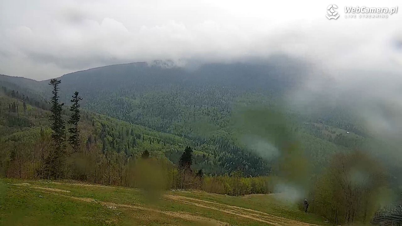 Zawoja - Mosorny Groń - 11 maj 2026, 12:54