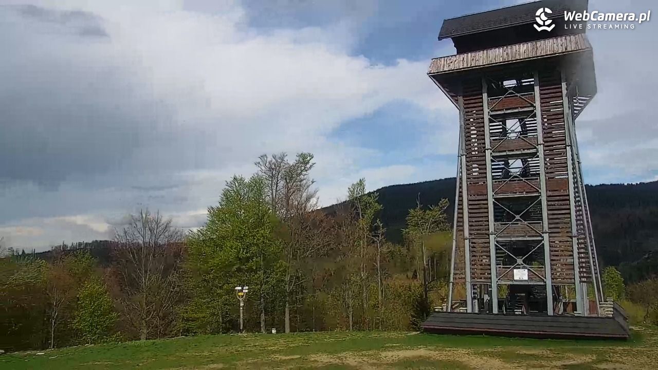 Zawoja - Mosorny Groń - 14 maj 2026, 16:21
