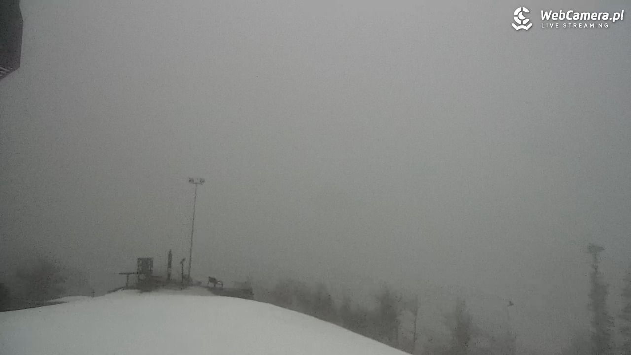 Zawoja - Mosorny Groń - 07 luty 2026, 07:10