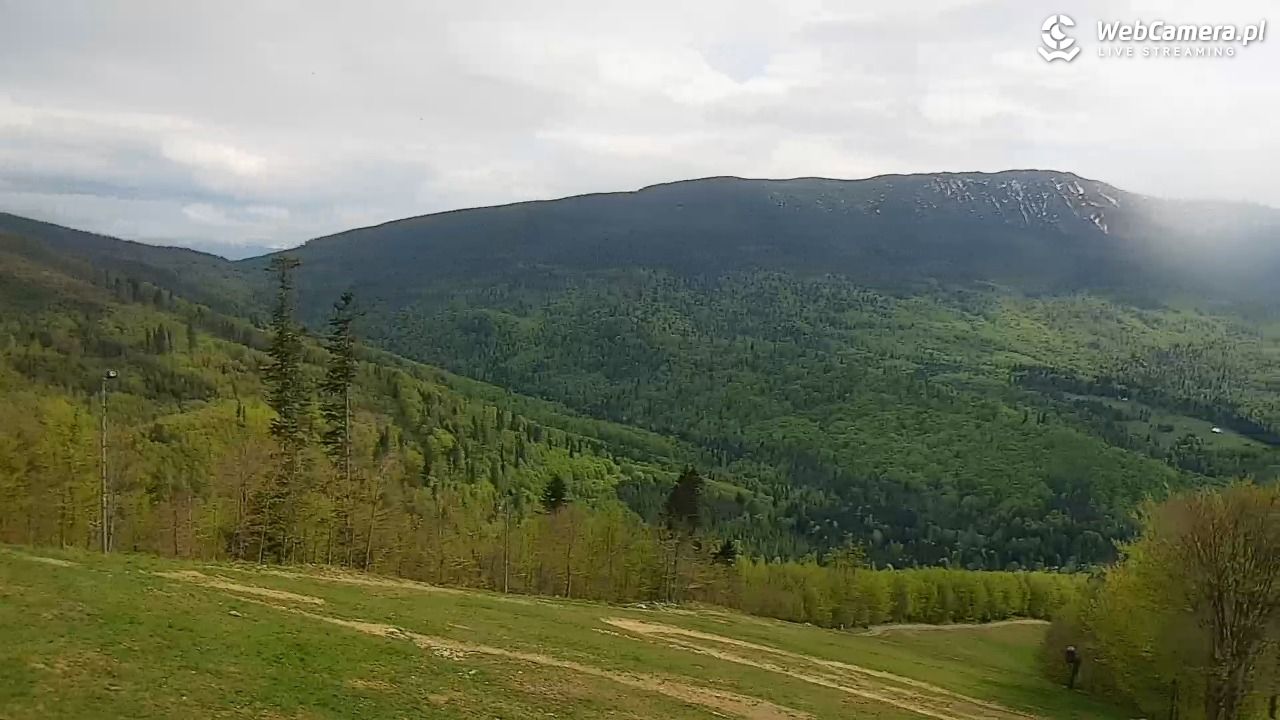 Zawoja - Mosorny Groń - 14 maj 2026, 16:22