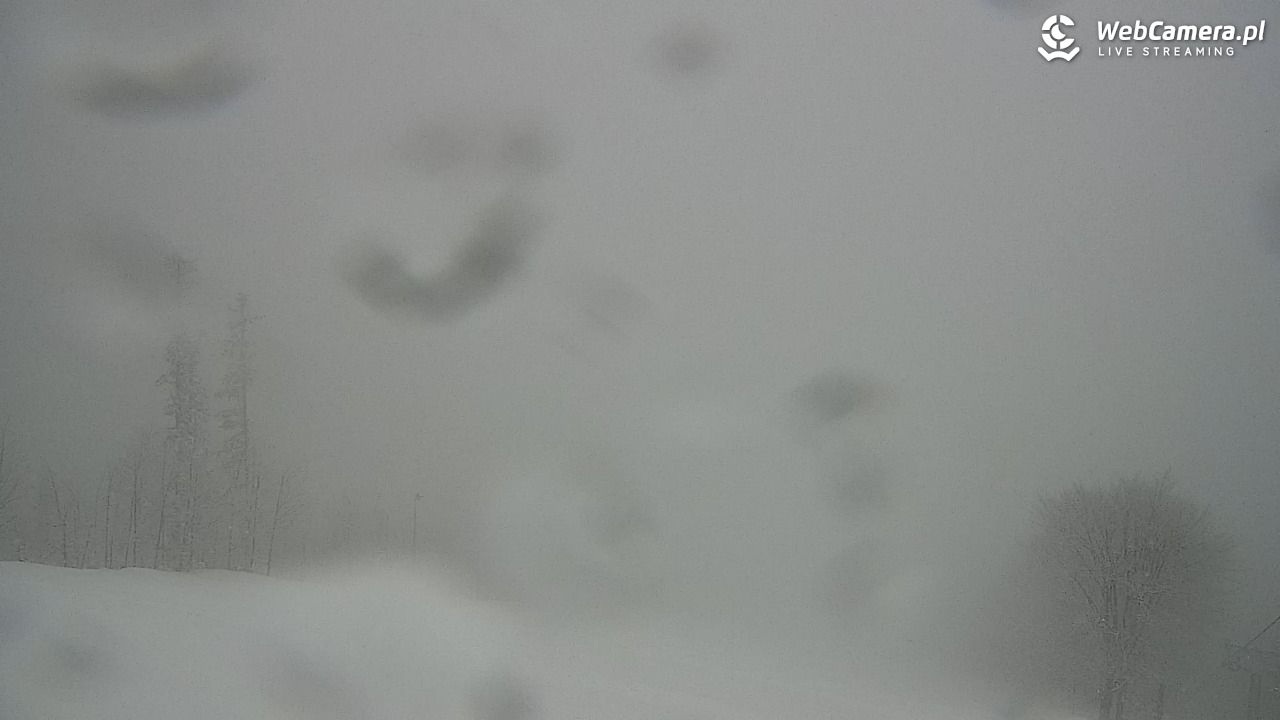 Zawoja - Mosorny Groń - 27 marzec 2026, 12:39