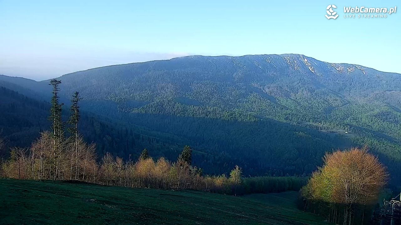 Zawoja - Mosorny Groń - 10 maj 2026, 06:13