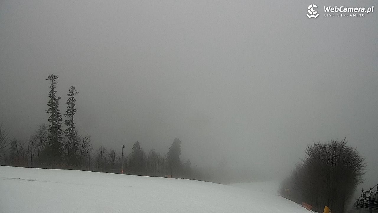 Zawoja - Mosorny Groń - 07 luty 2026, 09:56