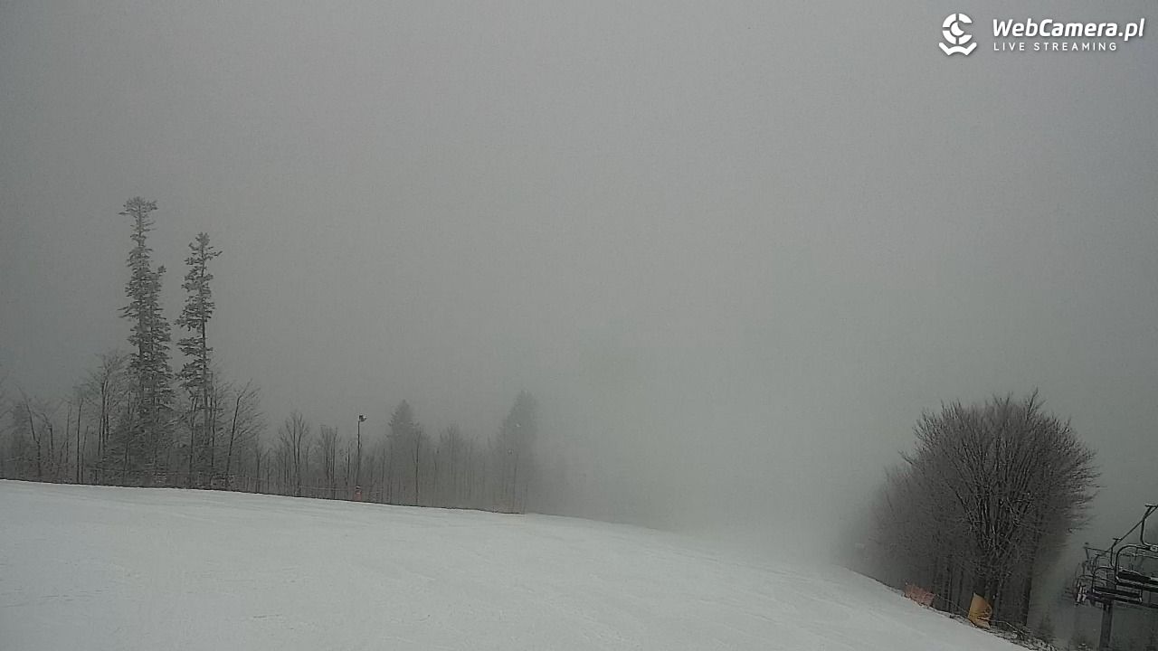 Zawoja - Mosorny Groń - 08 luty 2026, 09:26