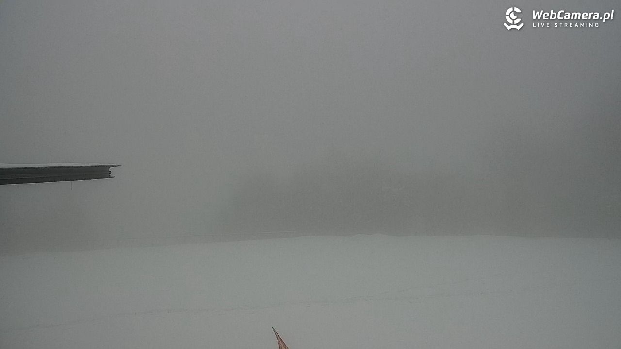 Zawoja - Mosorny Groń - 29 marzec 2026, 10:31